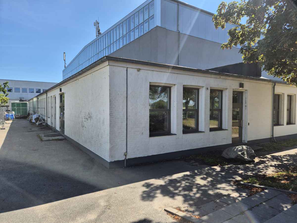 3426-1258-Skimmelsvamp_Holl&aelig;nderhallen-TM-web-1