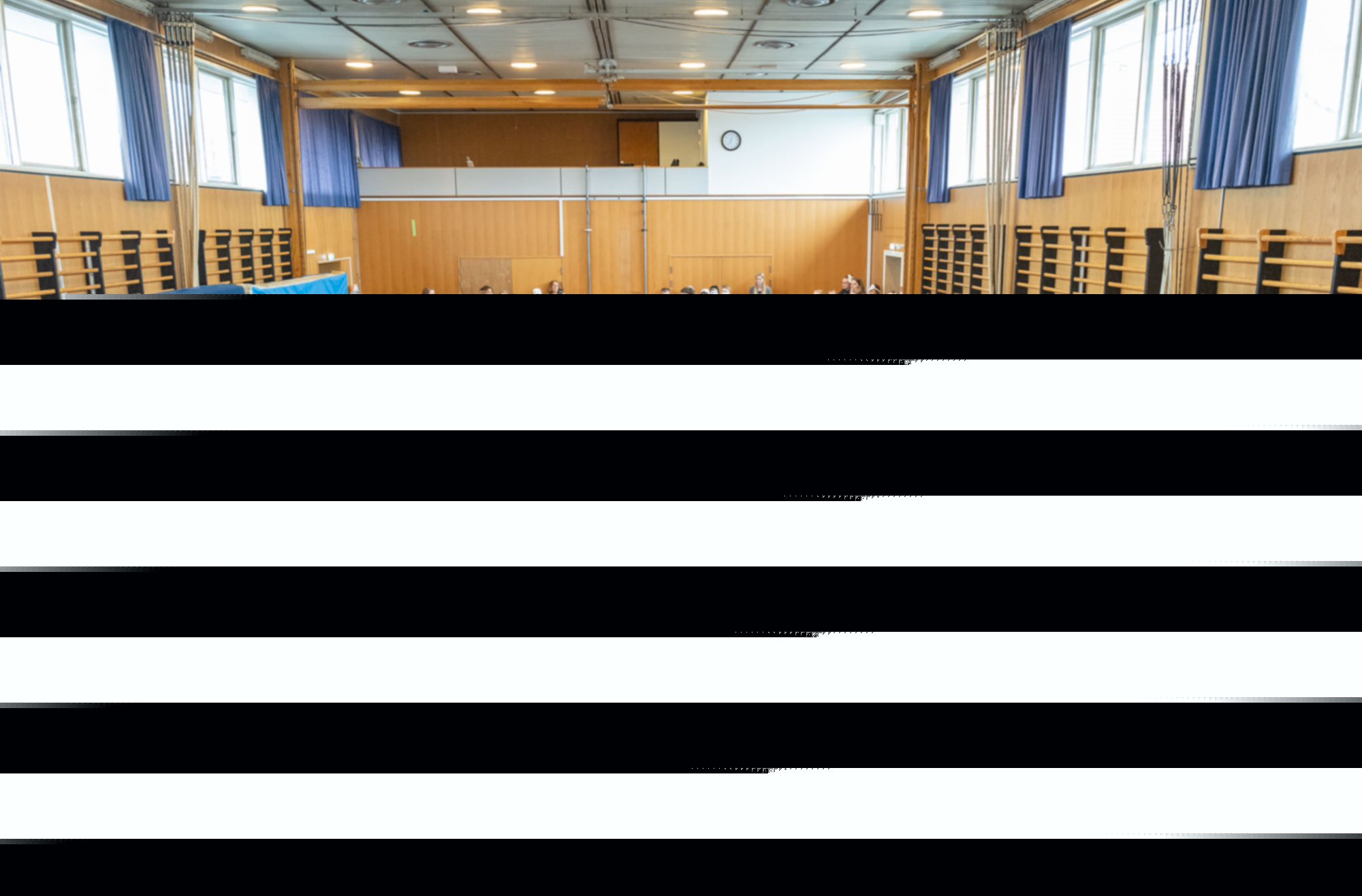 Billedkunstens Dag