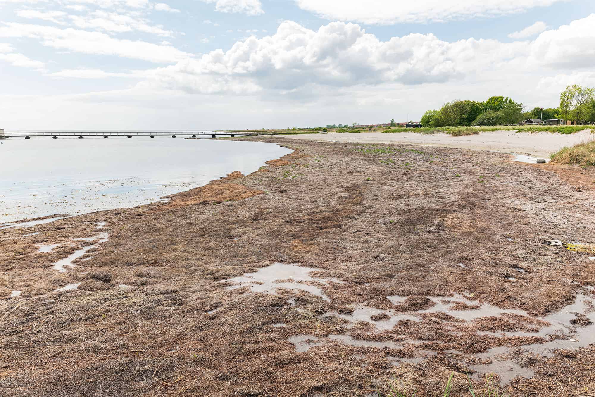 Mormorstranden bliver renset