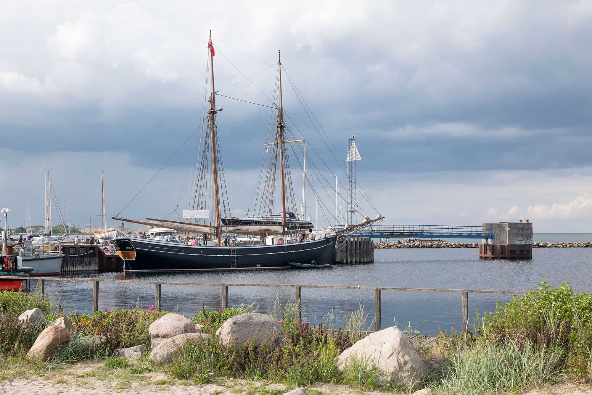 Bonavista på visit