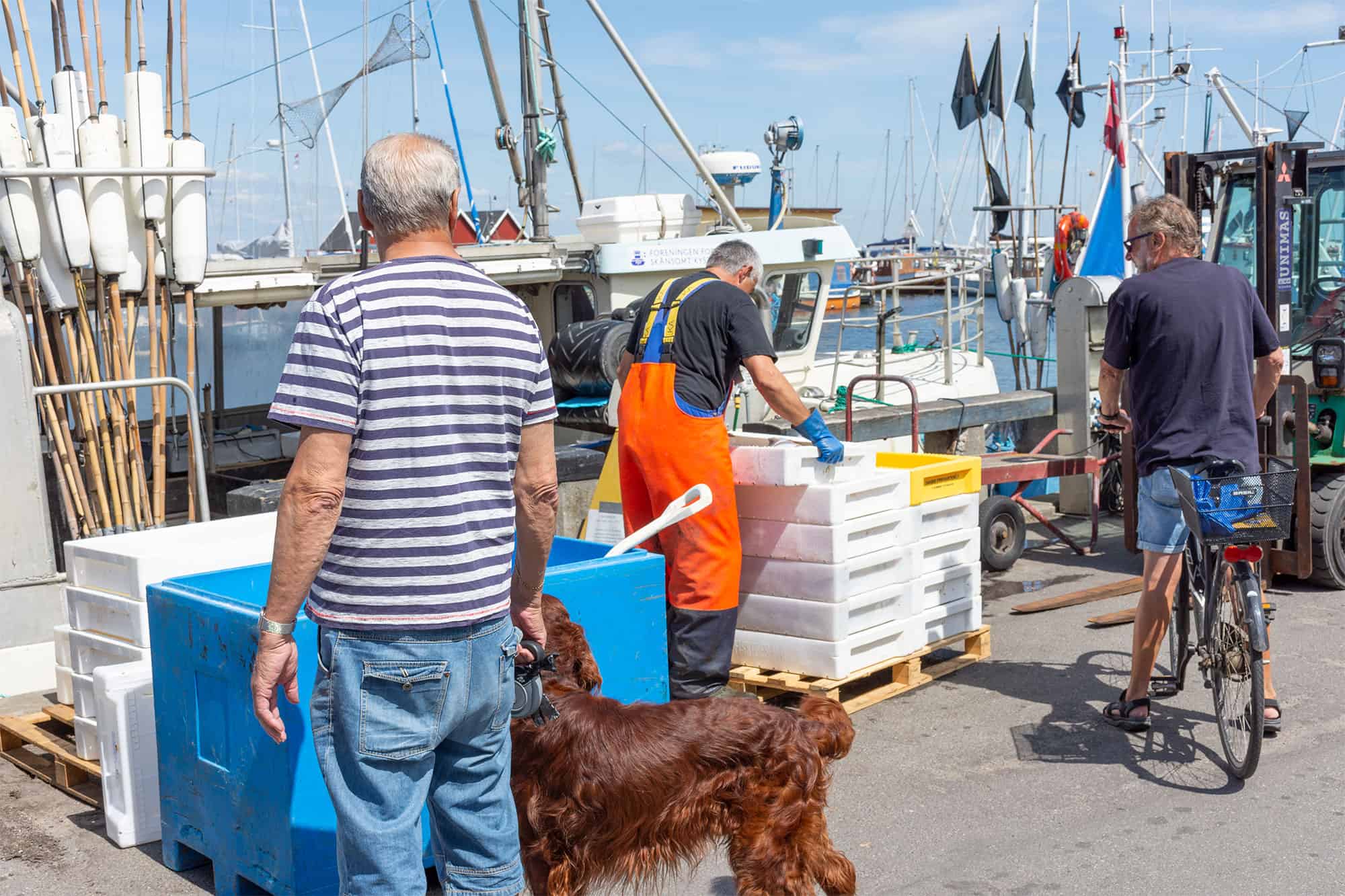 Havnefogeden passer på havnen