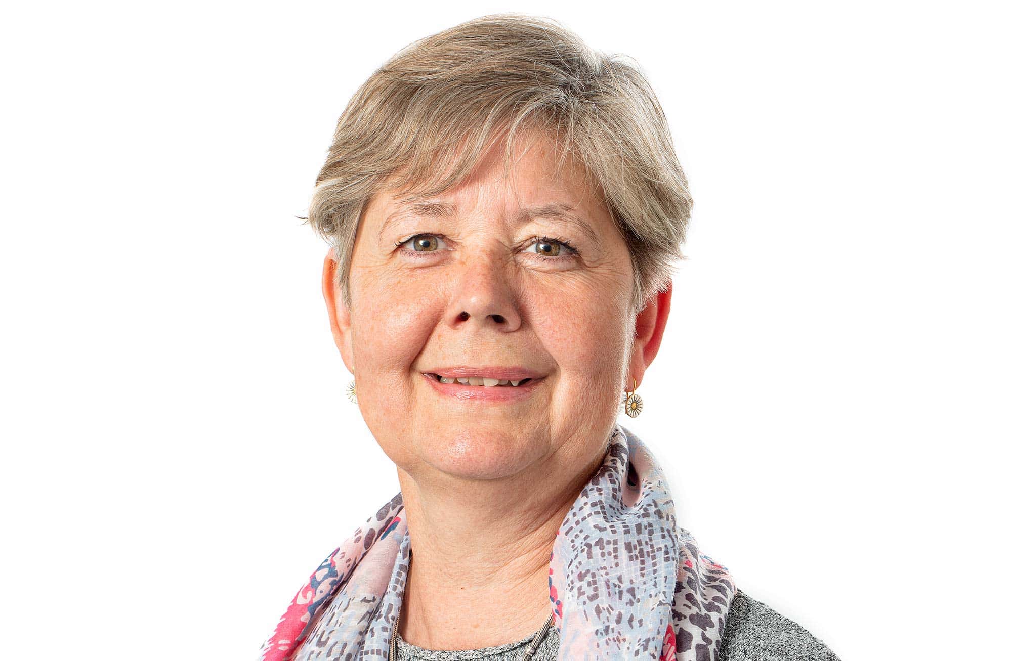 Borgmester udpeget