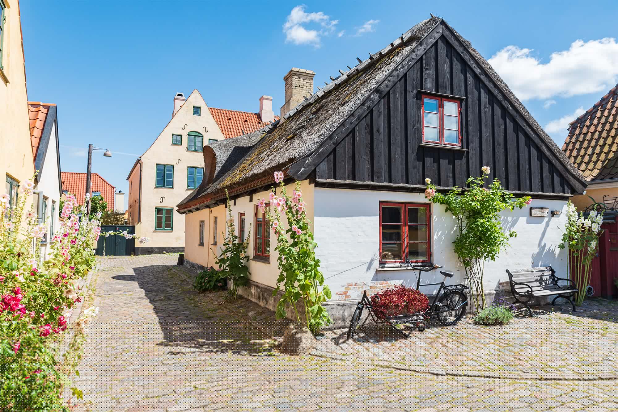 Lokalhistorisk tema – historien bag: Hollandsfed