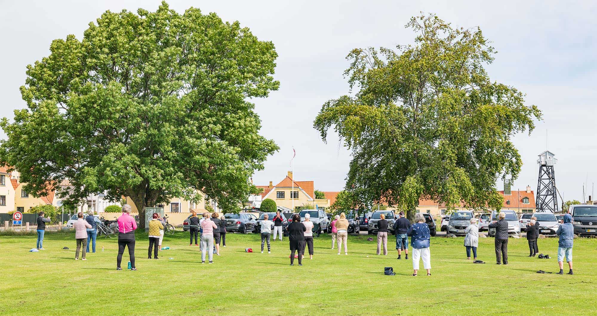 Qigong på græs