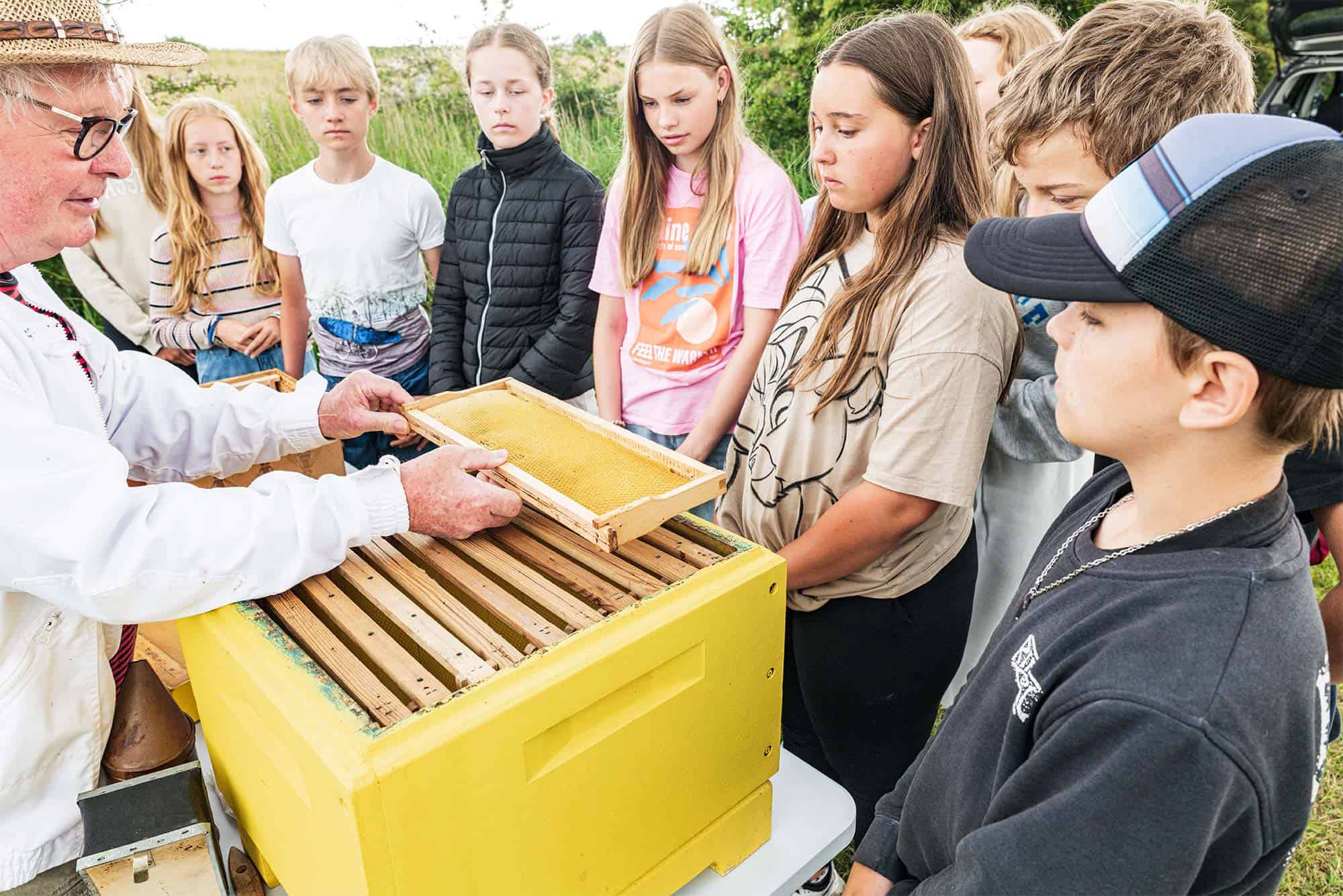 Bier og biodiversitet