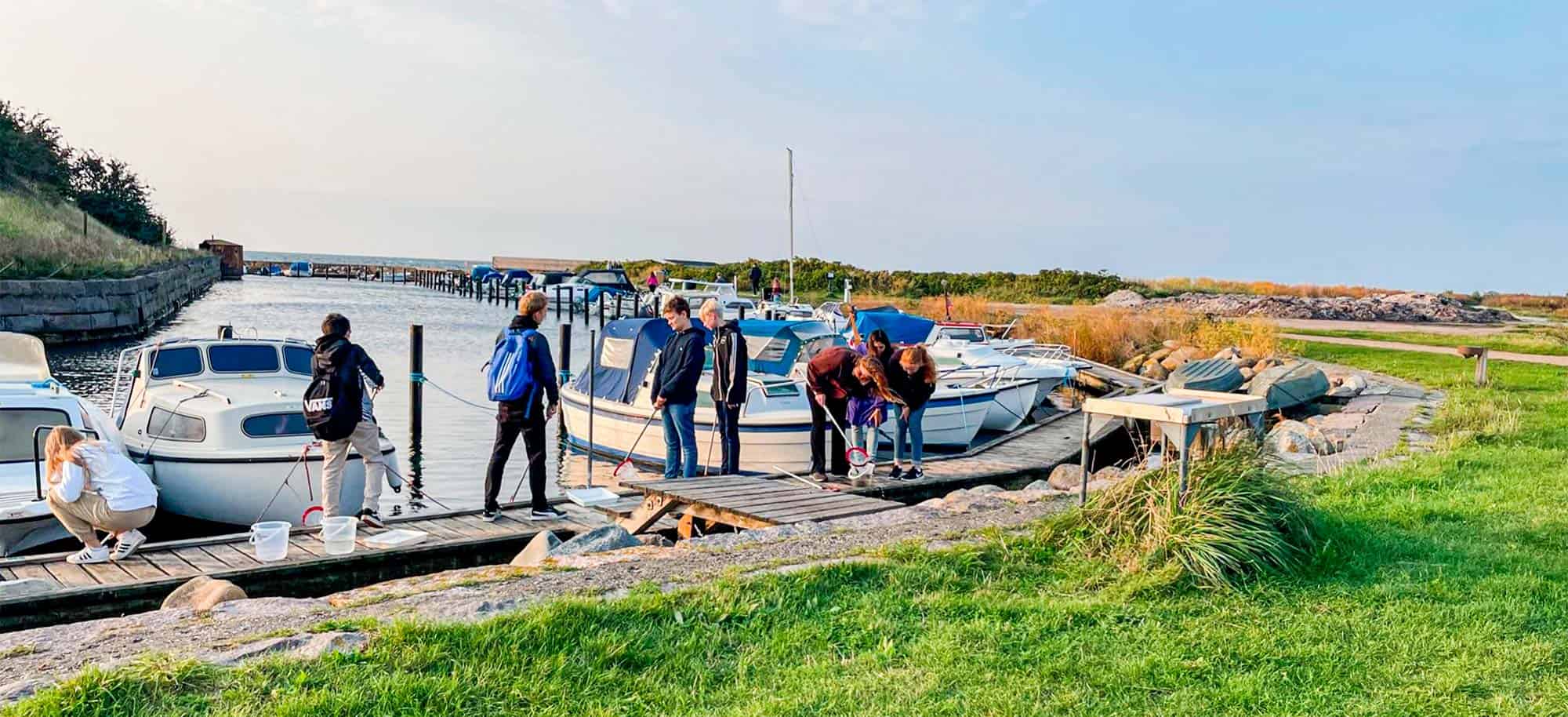 Vi har modtaget: Naturvidenskabsfestivaluge på Nordstrandskolen