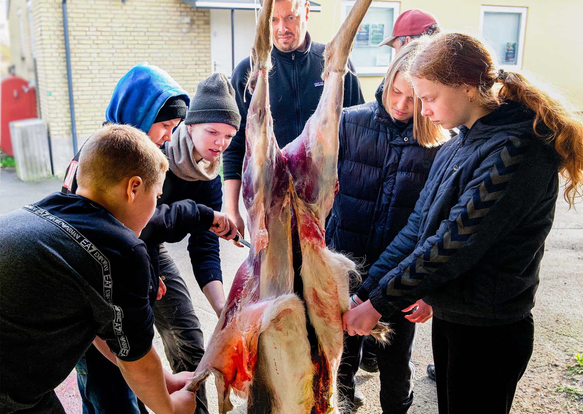 Fra jord til bord i madkundskab
