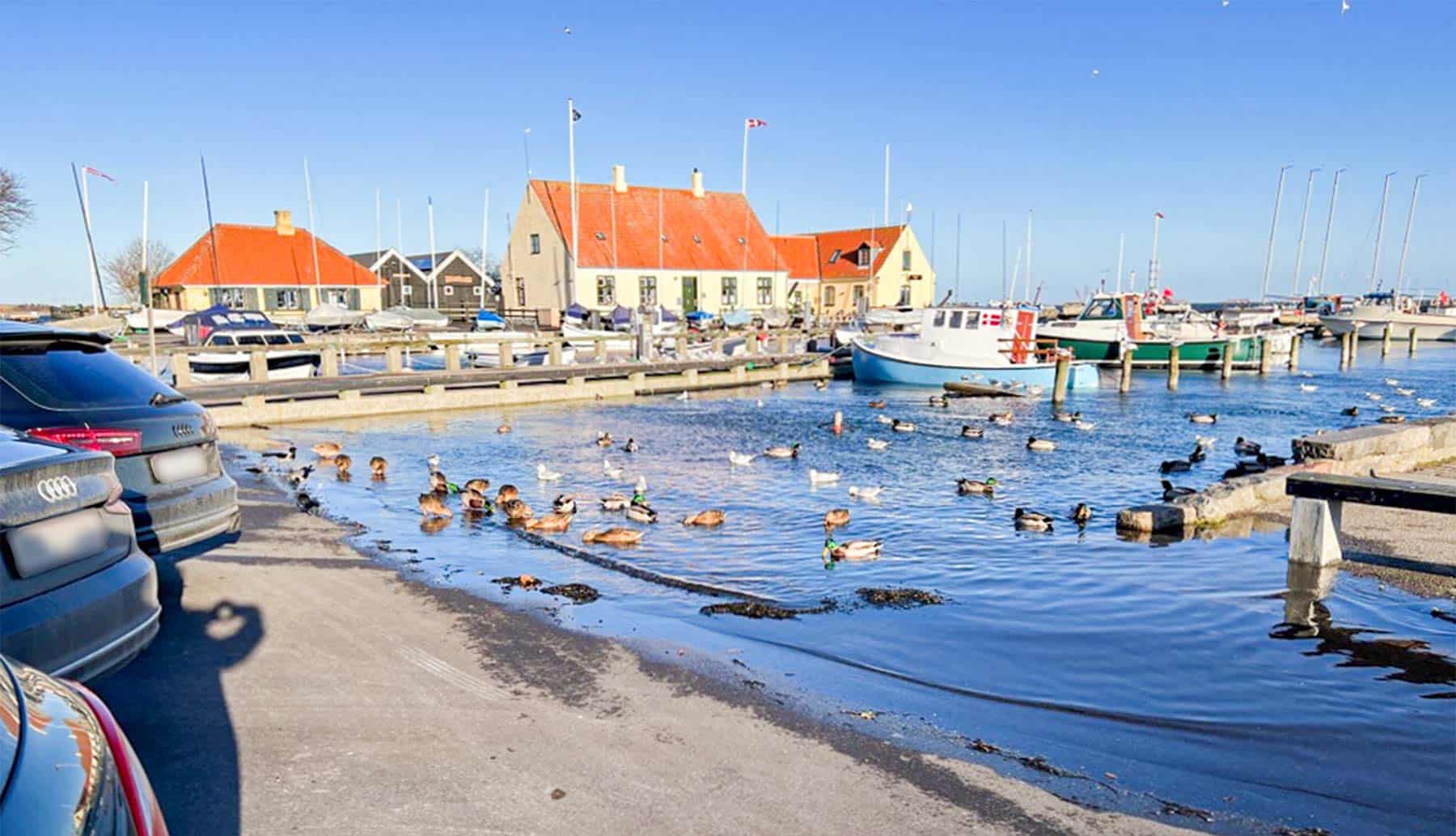 Højvande igen