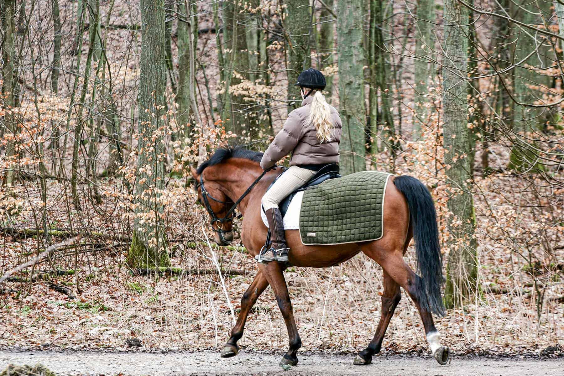 Ny ridekortsordning