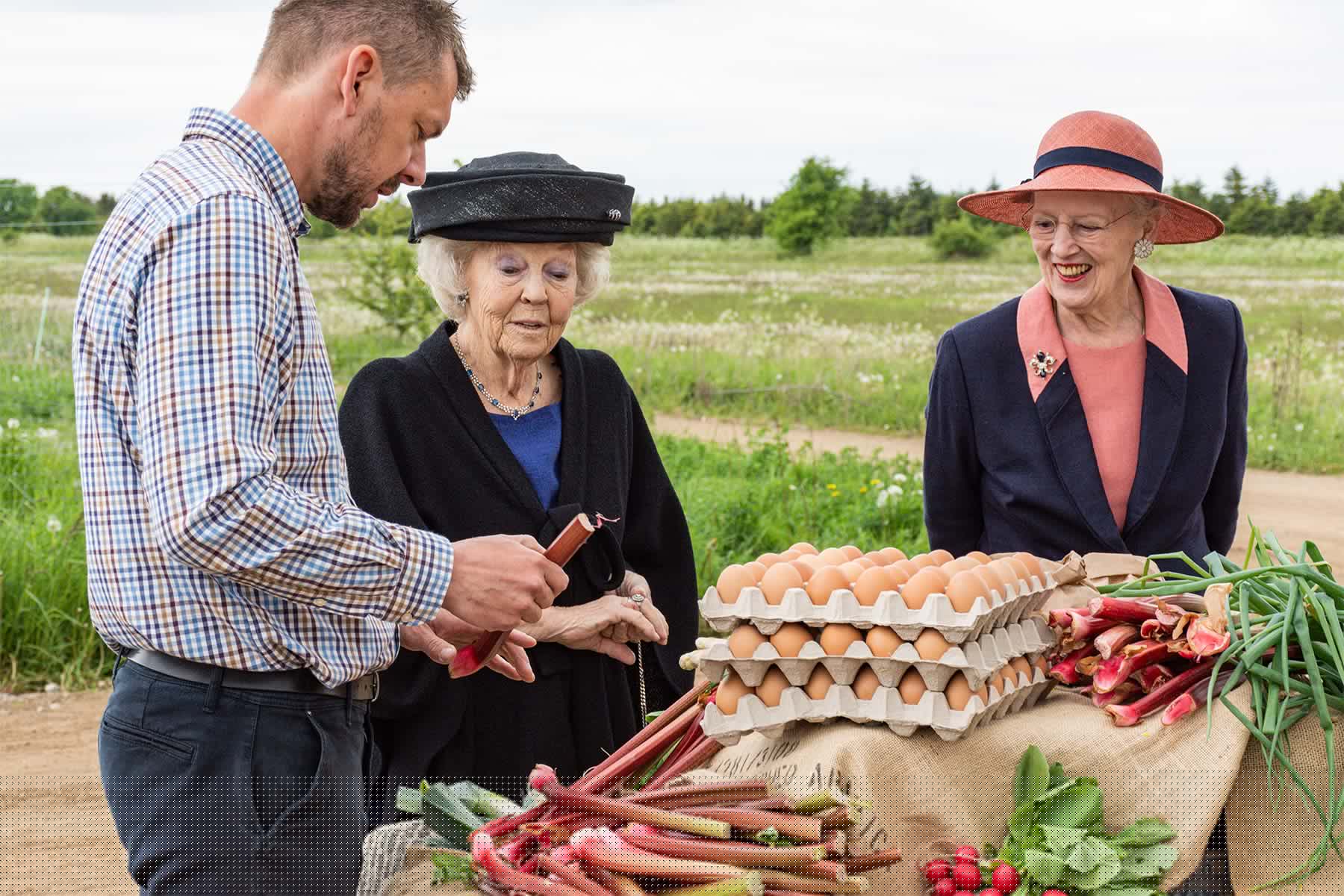 Besøg på Seerupgaard