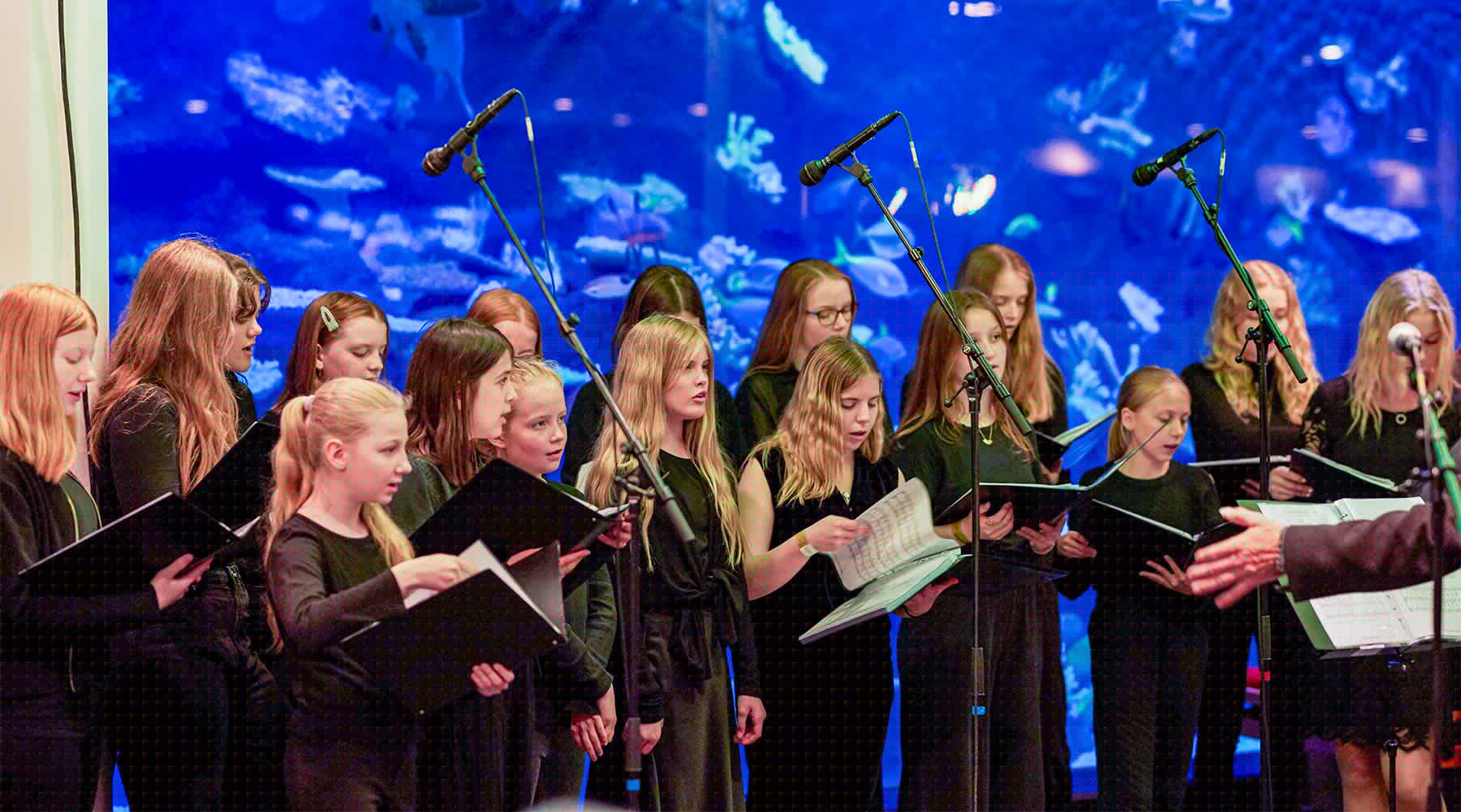 Koncert i Tivoli