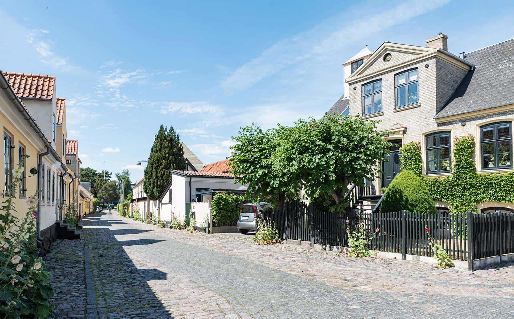 Bevaringsarbejde