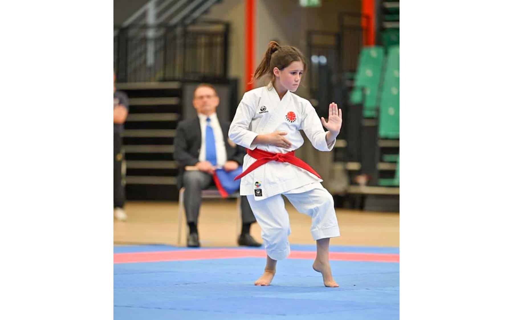 Nyt fra Itosu-Kai Karate Dragør: Medaljehøst