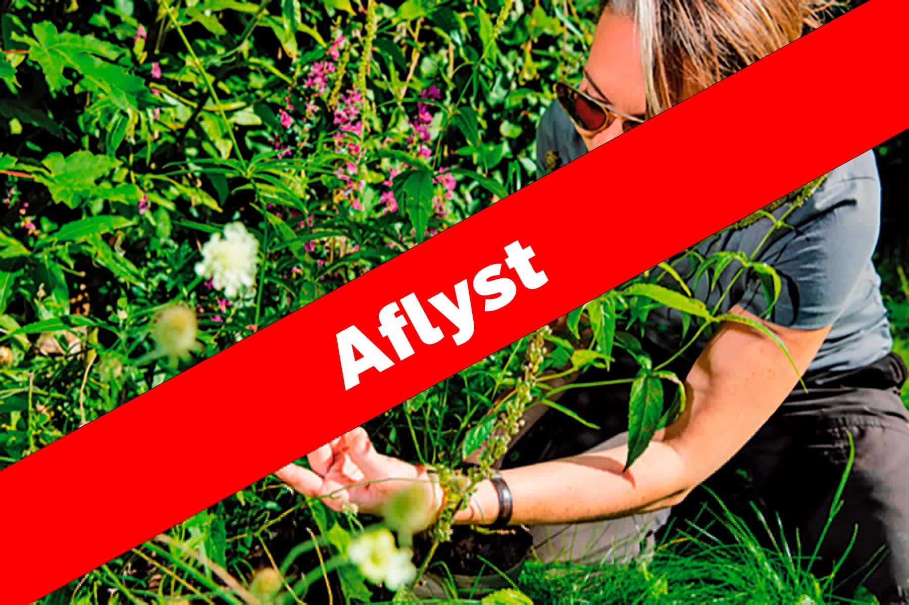 AFLYST – Lidt vildere foredrag