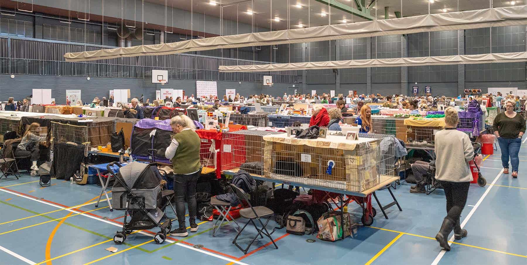 Katteudstilling i Hollænderhallen