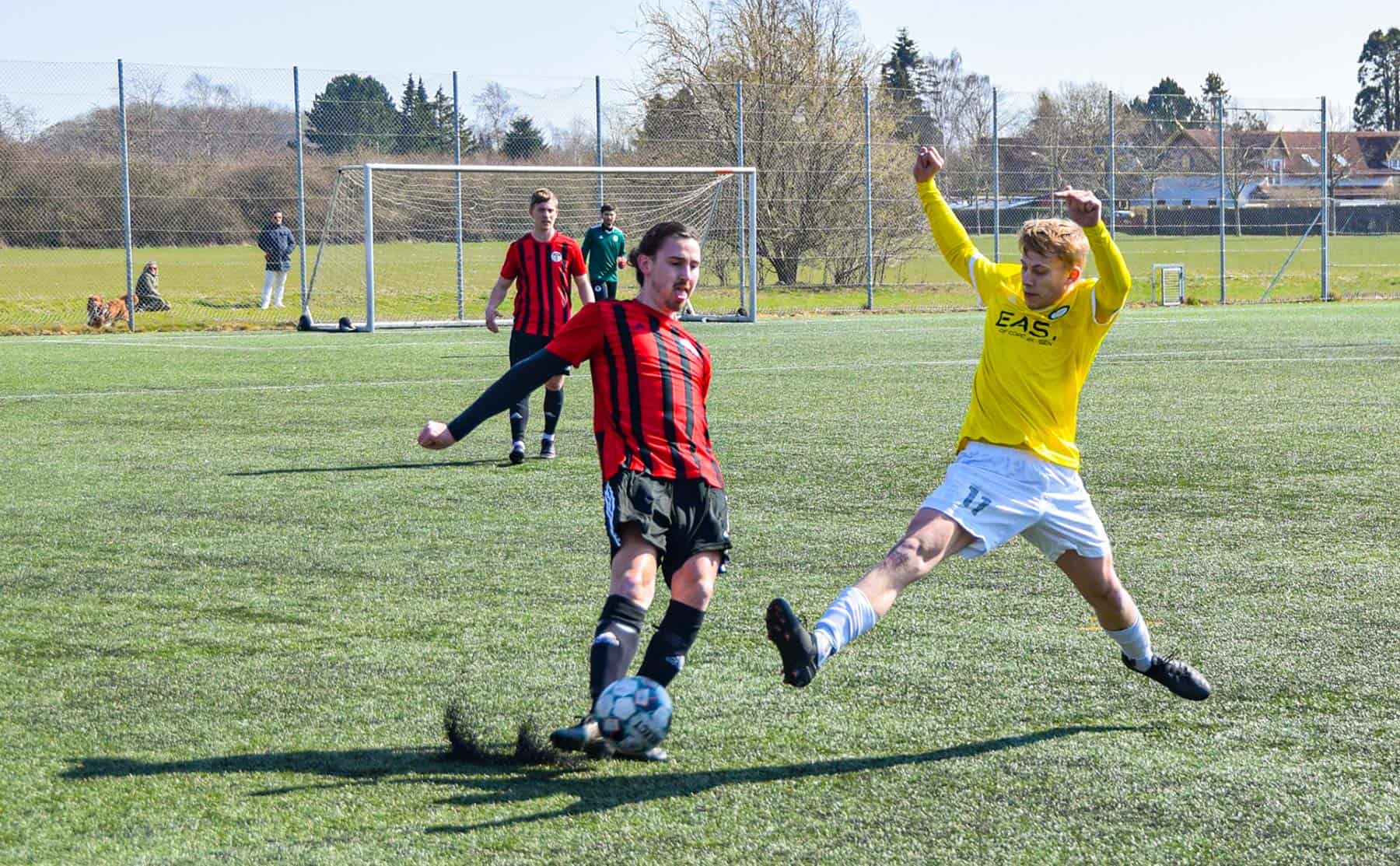 Nyt fra Dragør Boldklub: Stærk sæsonstart