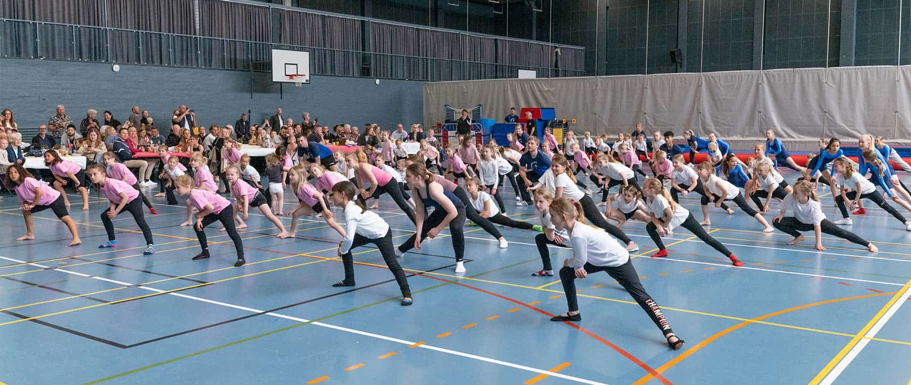 Gymnastikopvisning