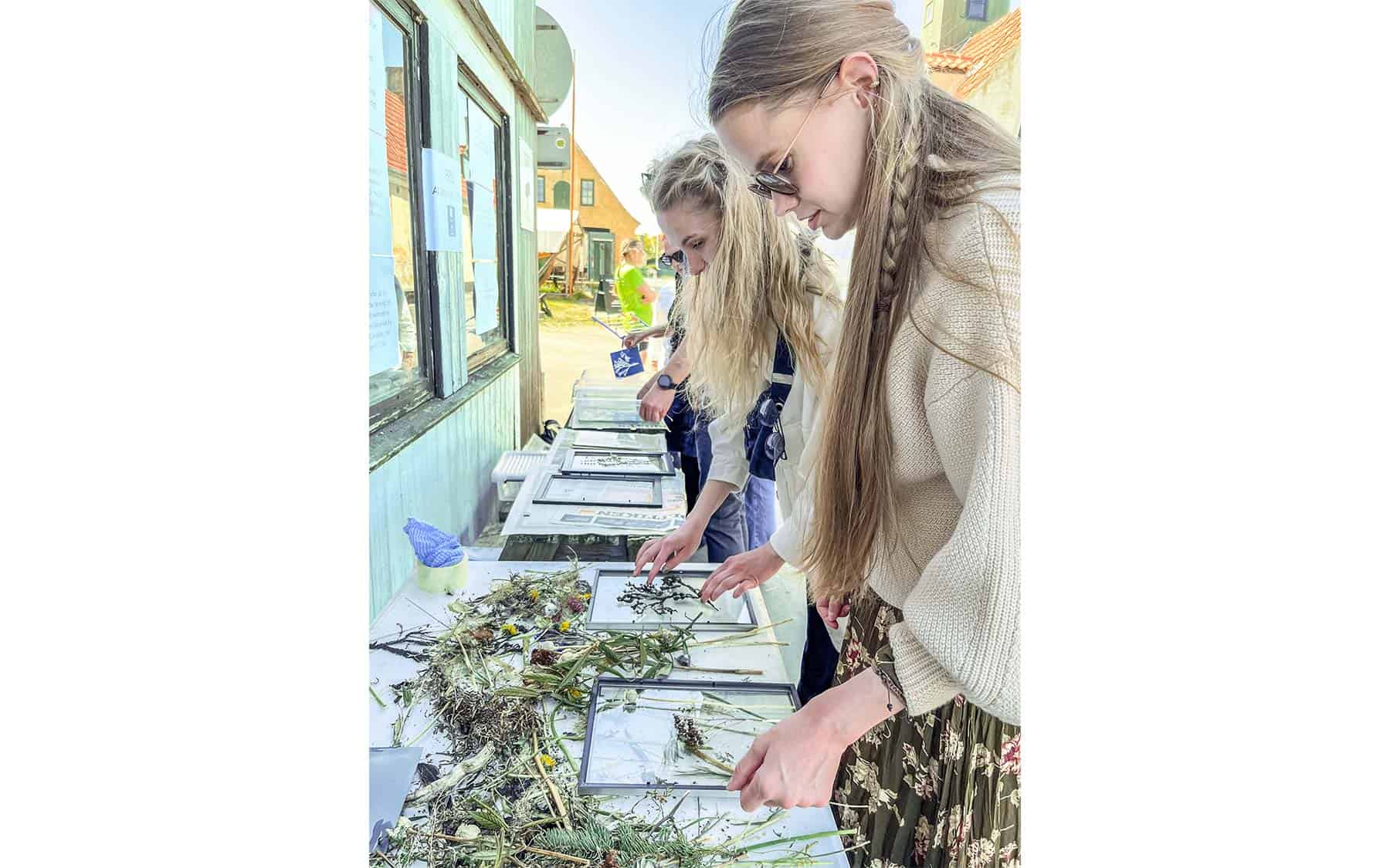 Workshop på havnen