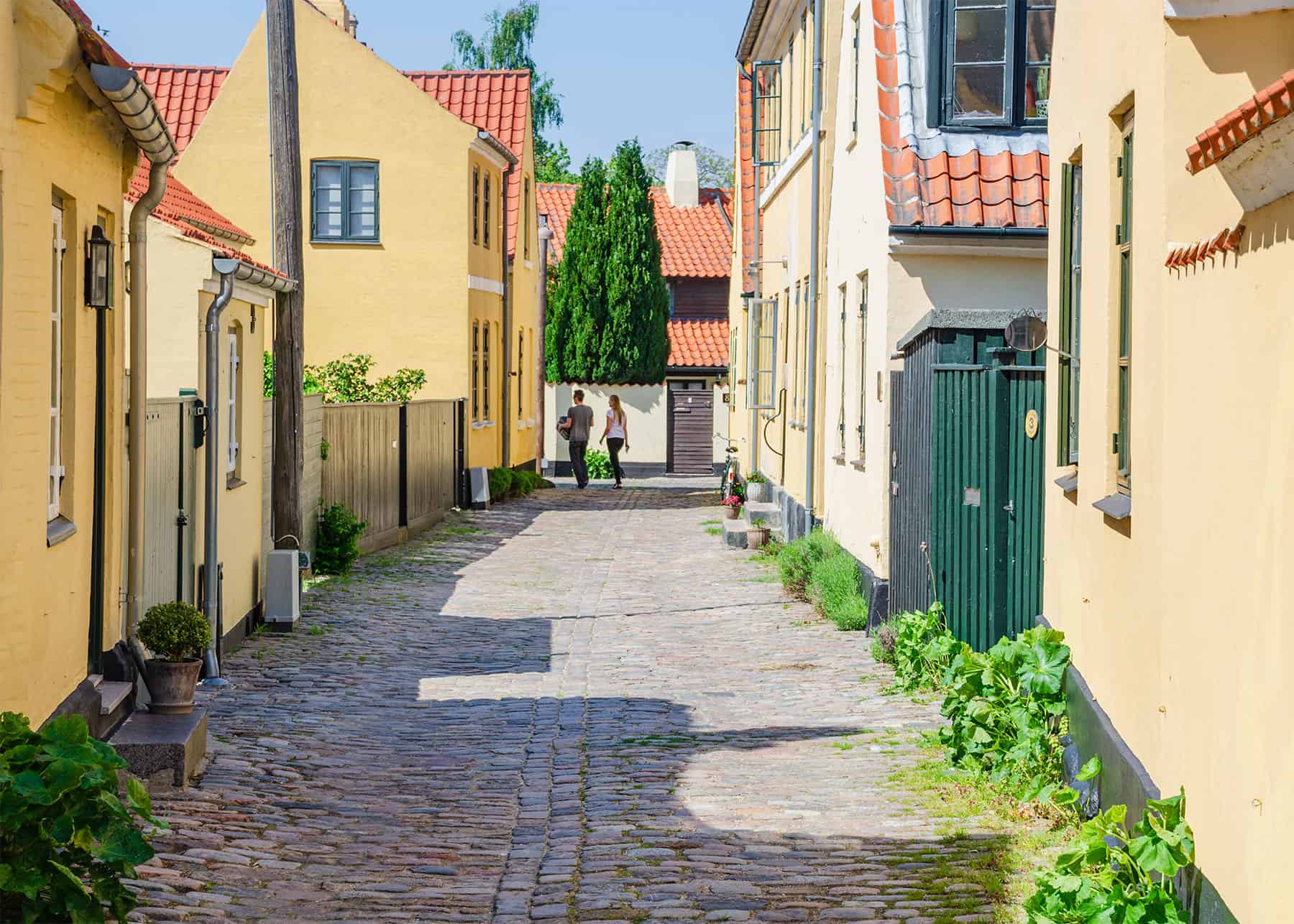 Bevaringens Dag
