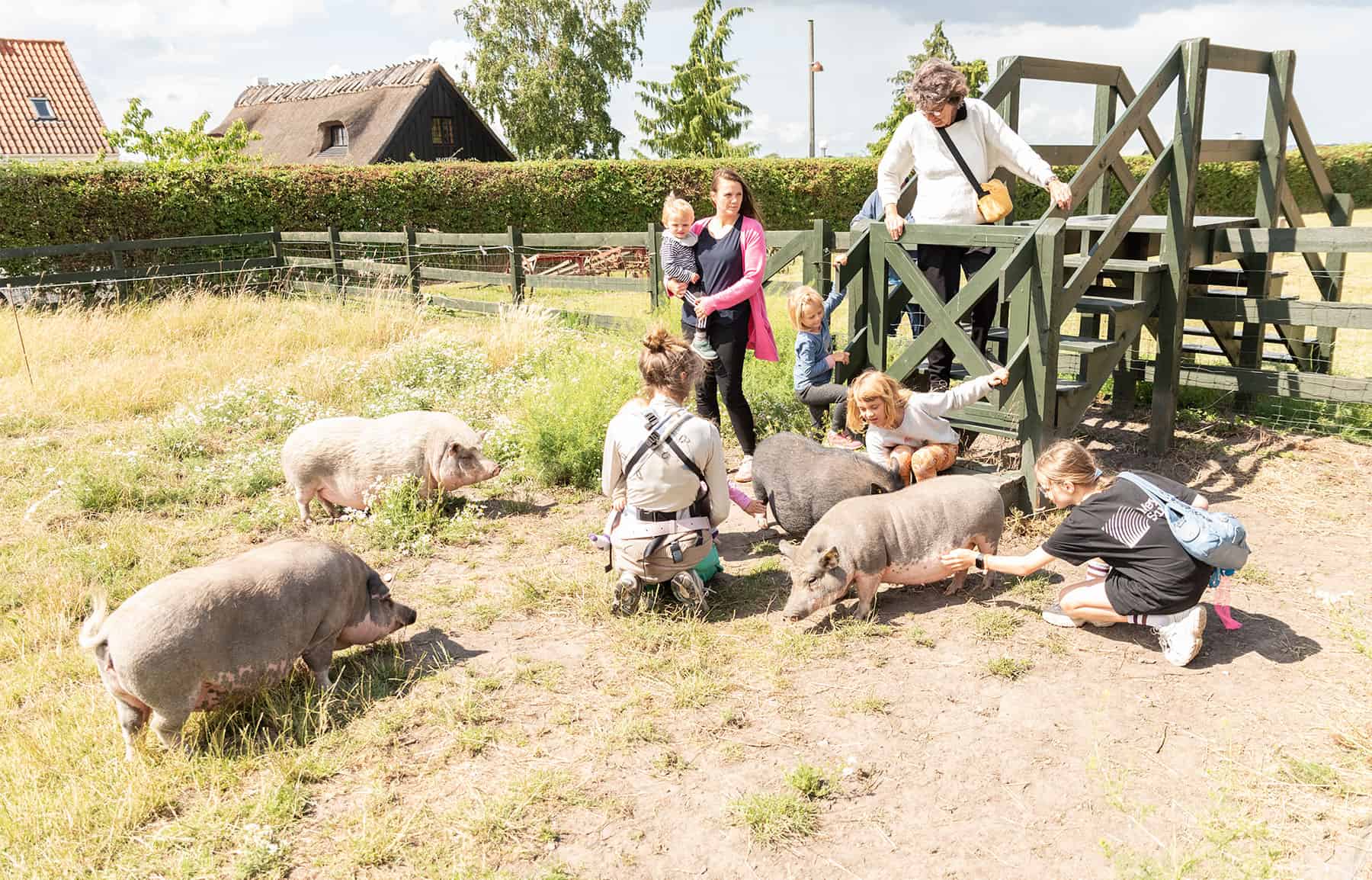 Det summer af aktivitet på Amagermuseet