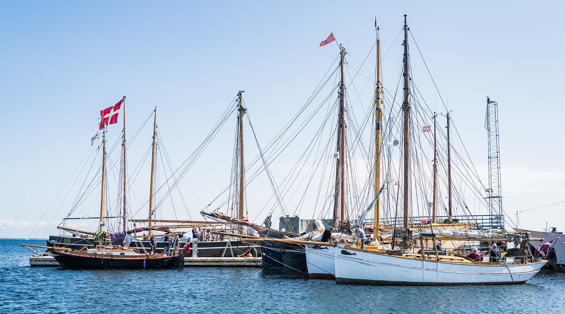 Havnen fyldt med glade skippere