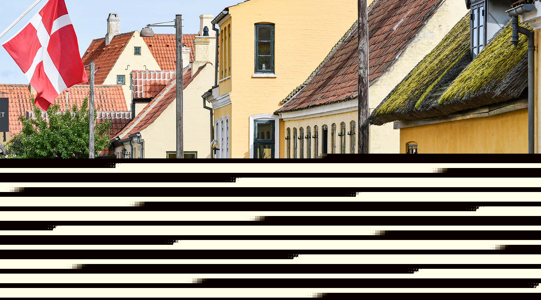Bliv klogere på bevaring