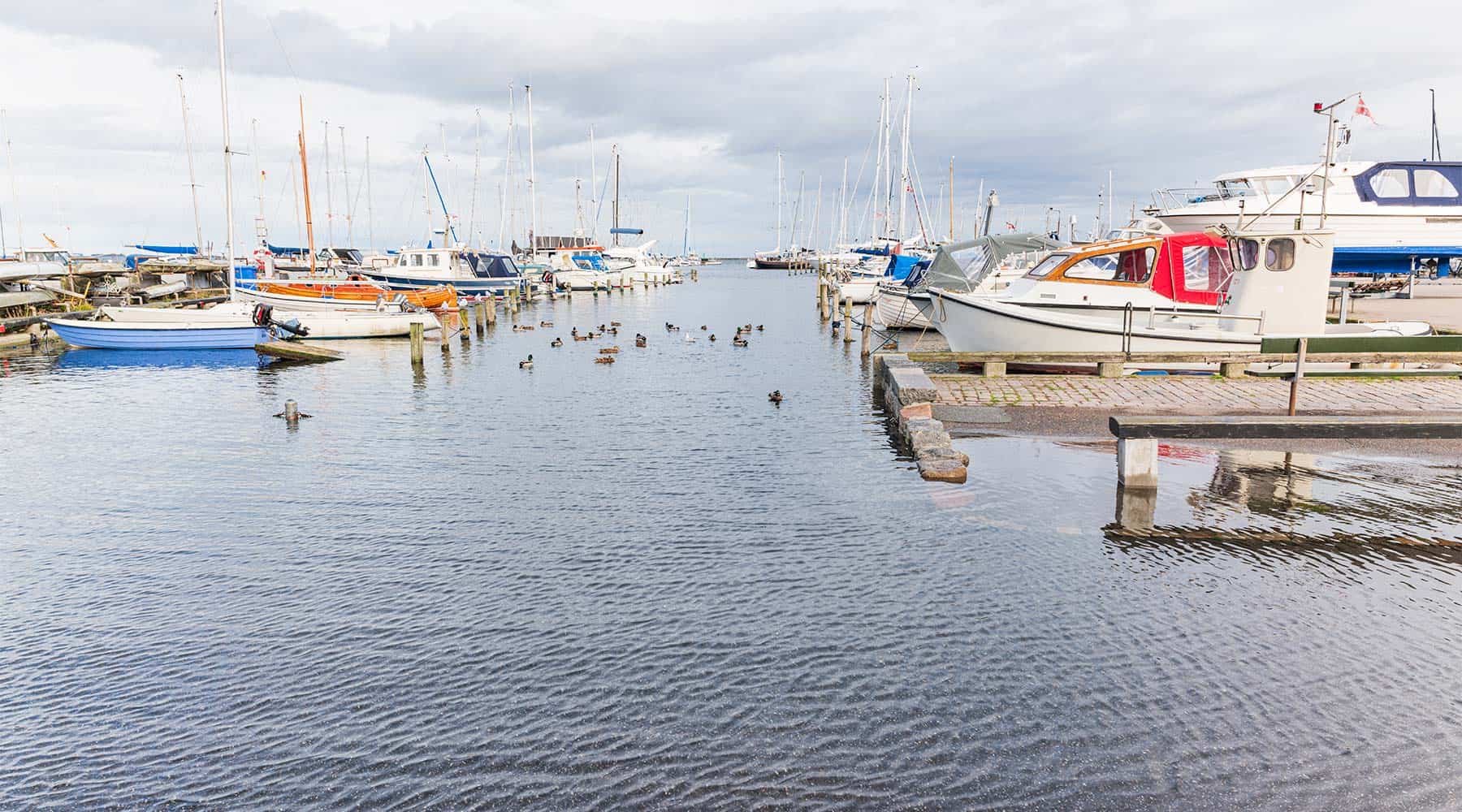 Højvande