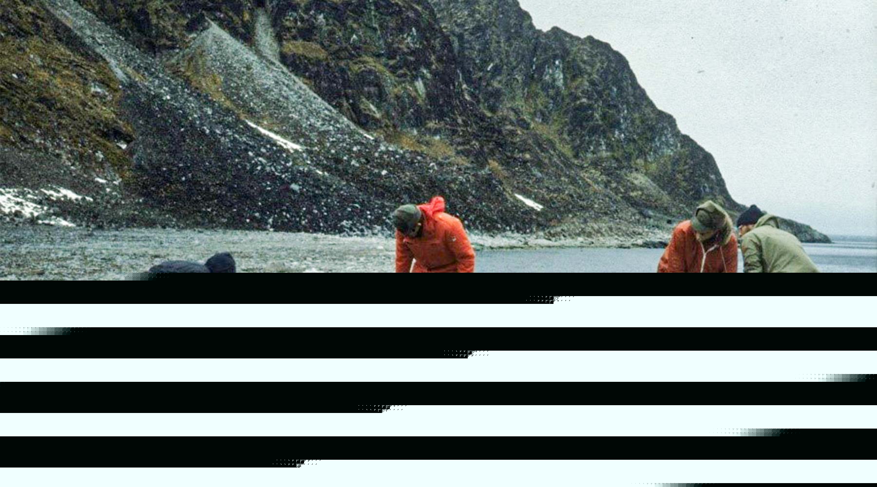 Hvalfangstens historie