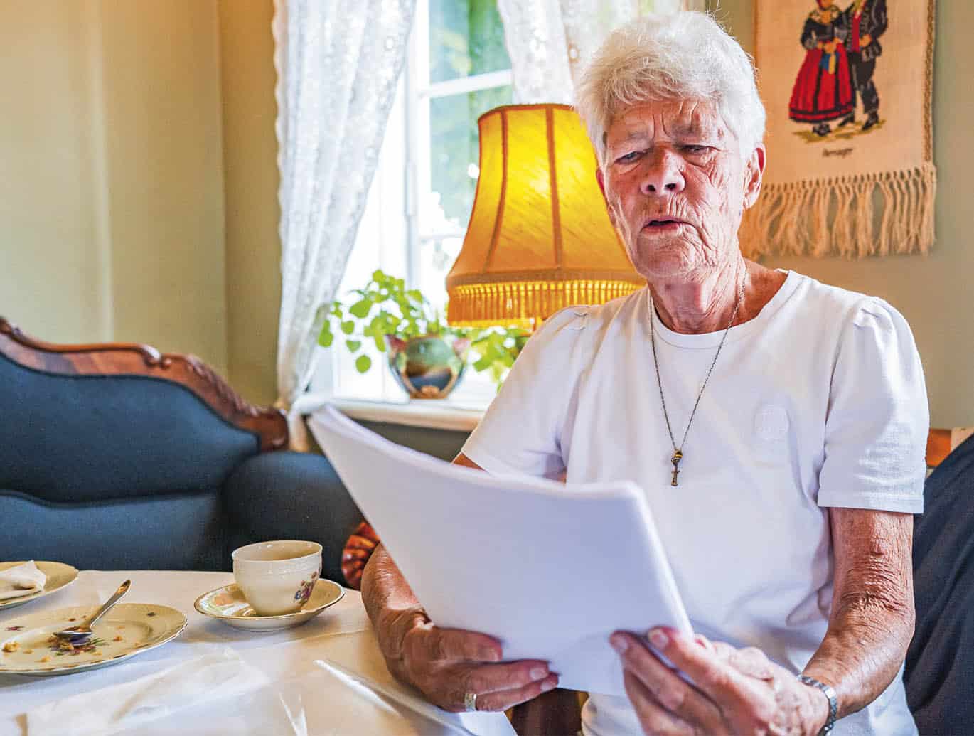 Æggekage af mågeæg på Saltholm