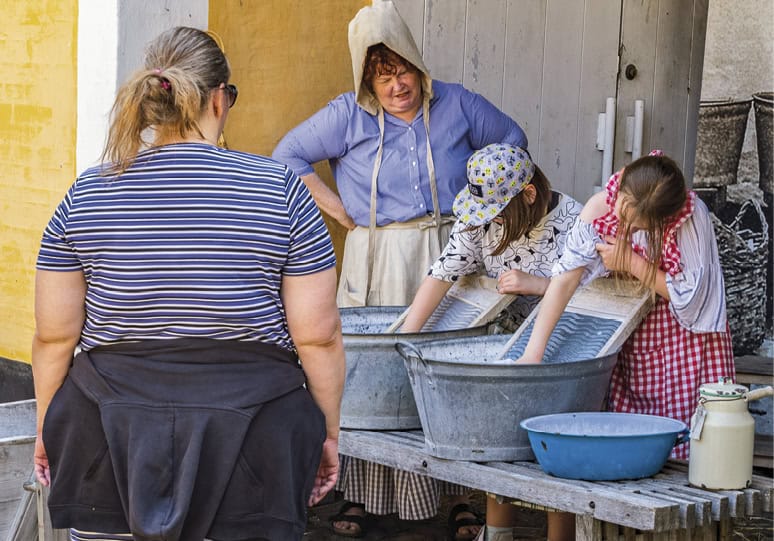 Amagerbonde for en dag