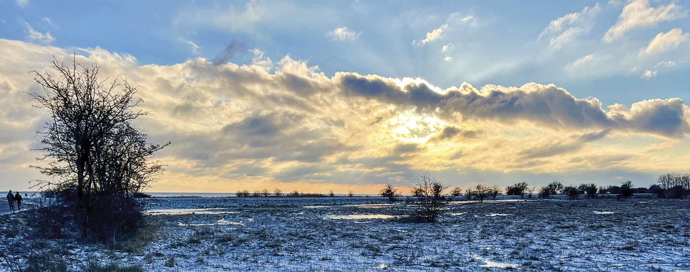 Naturfotografier i aktivitetshuset