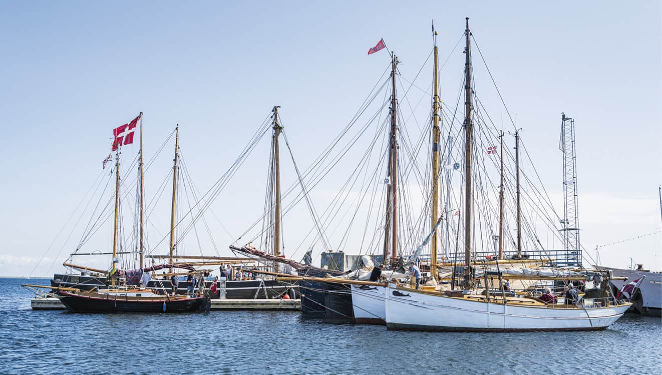 Skipperkoner og sildeeventyr