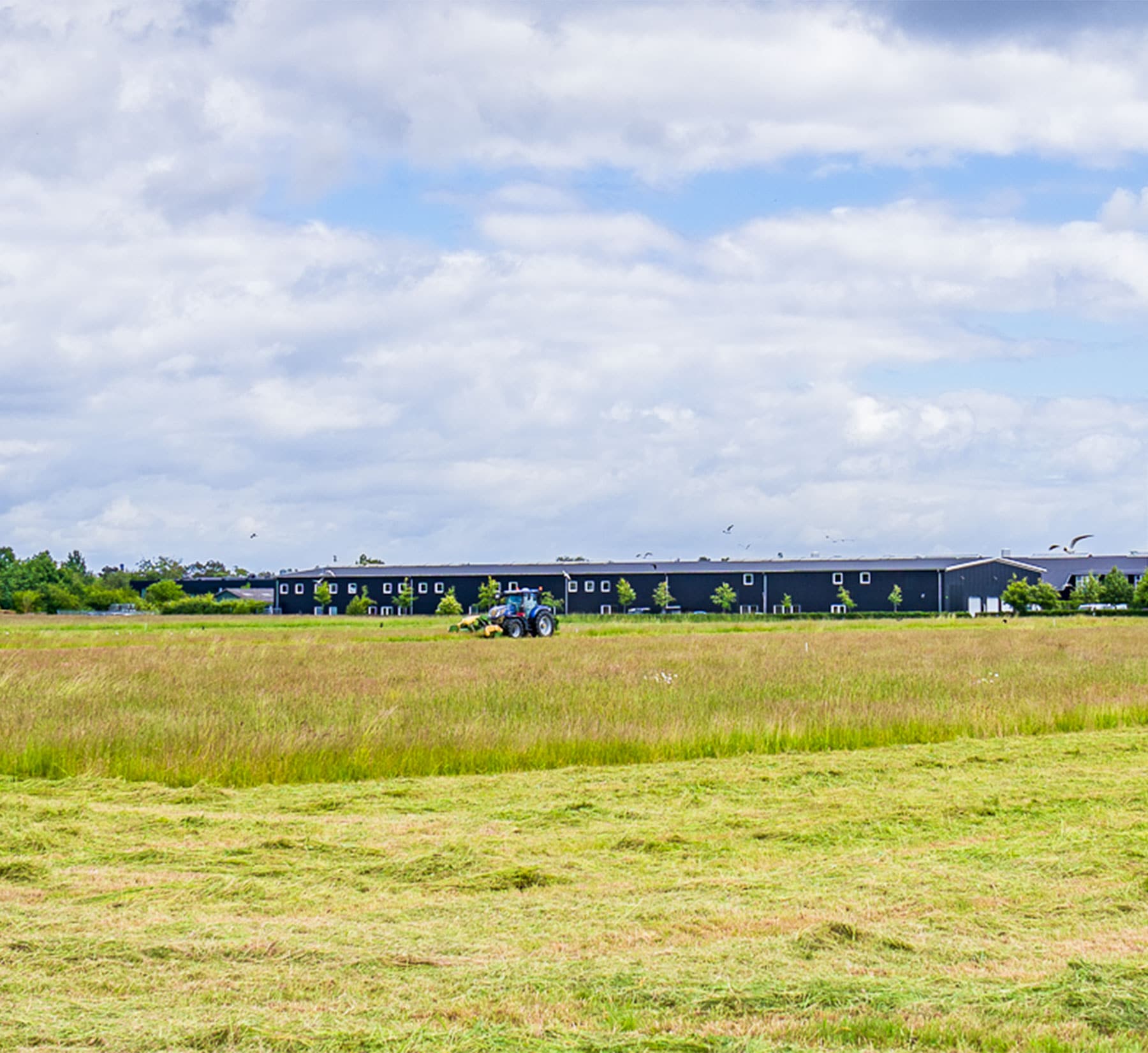 Erhvervsområde Nord skaber stadig splittelse