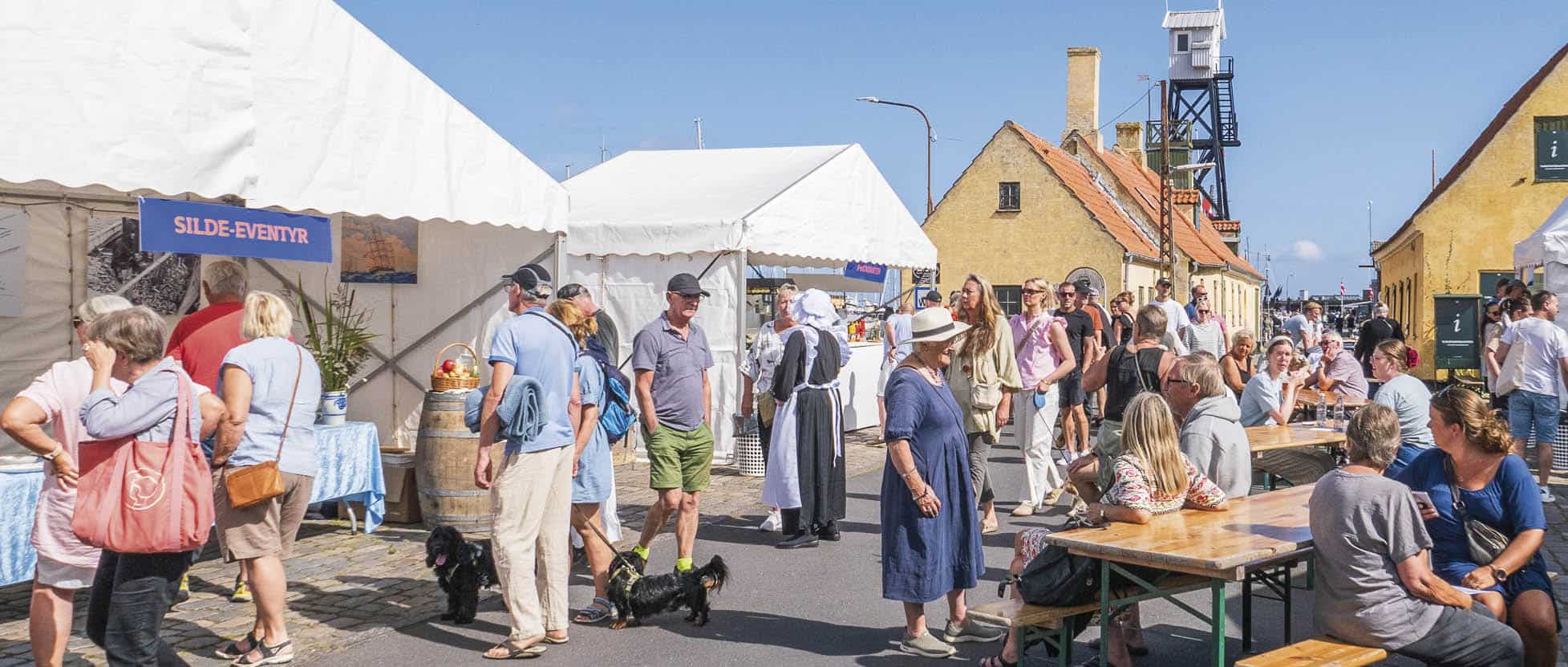 Mange ville gerne opleve Dragørs fortid