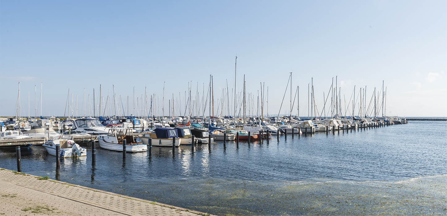Intet støjregulativ på havnen