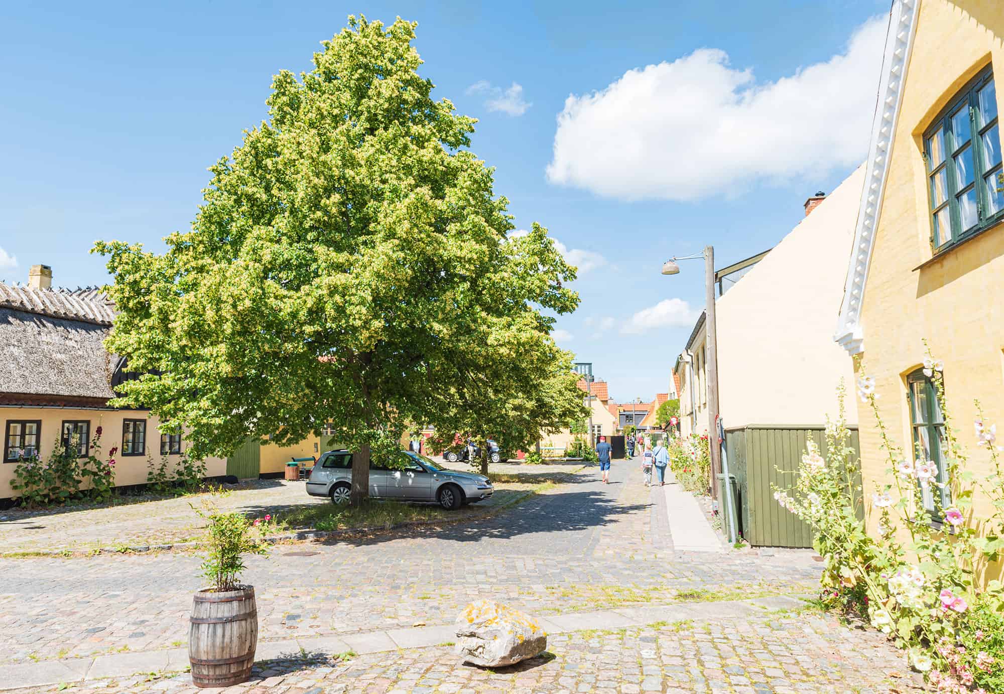 Ja til dispensation på Fogdens Plads