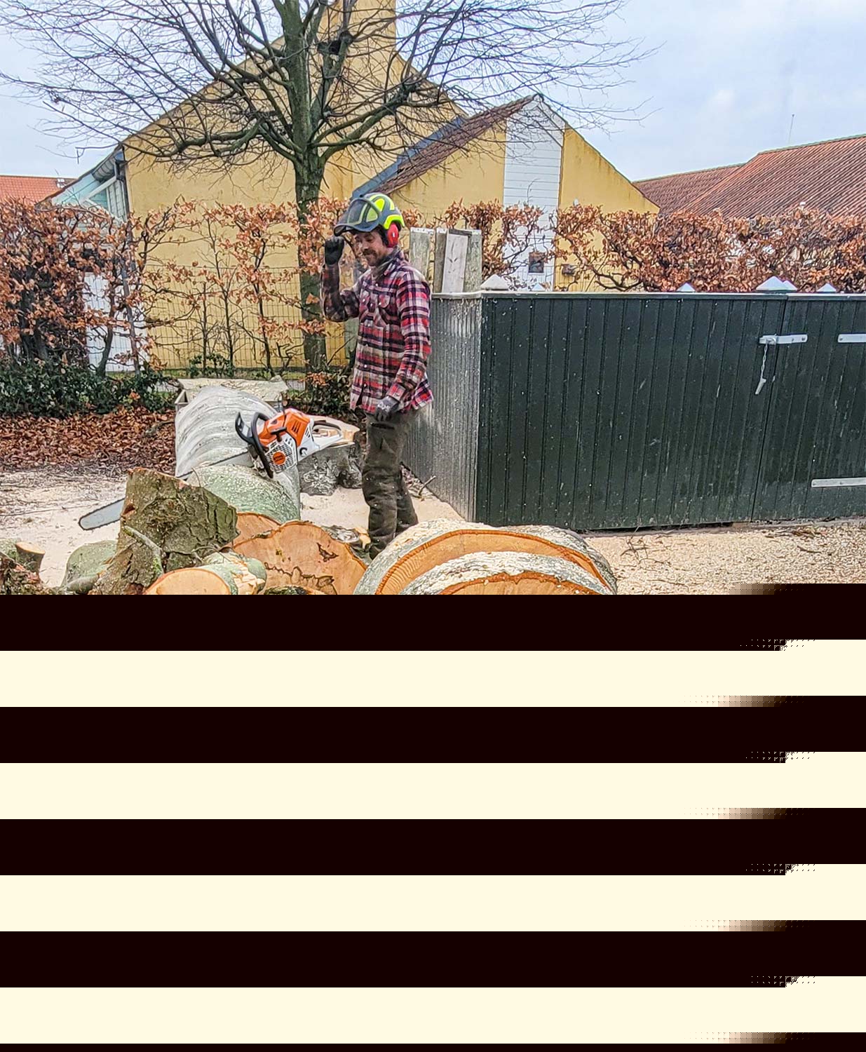 Gamle sygdomsramte træer fældet på Dragør Kirkegård