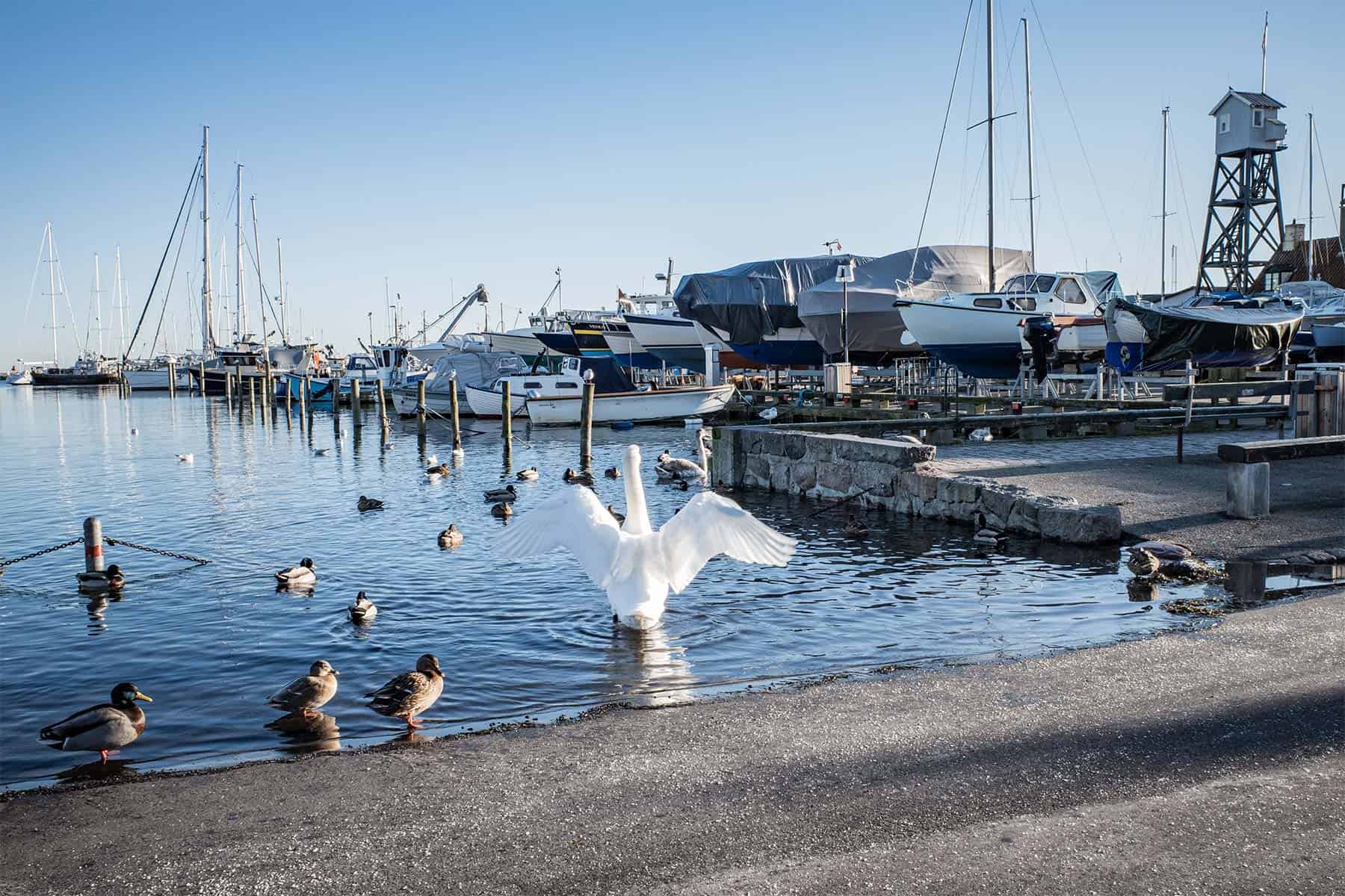 Flere storme stiller nye krav til havnen