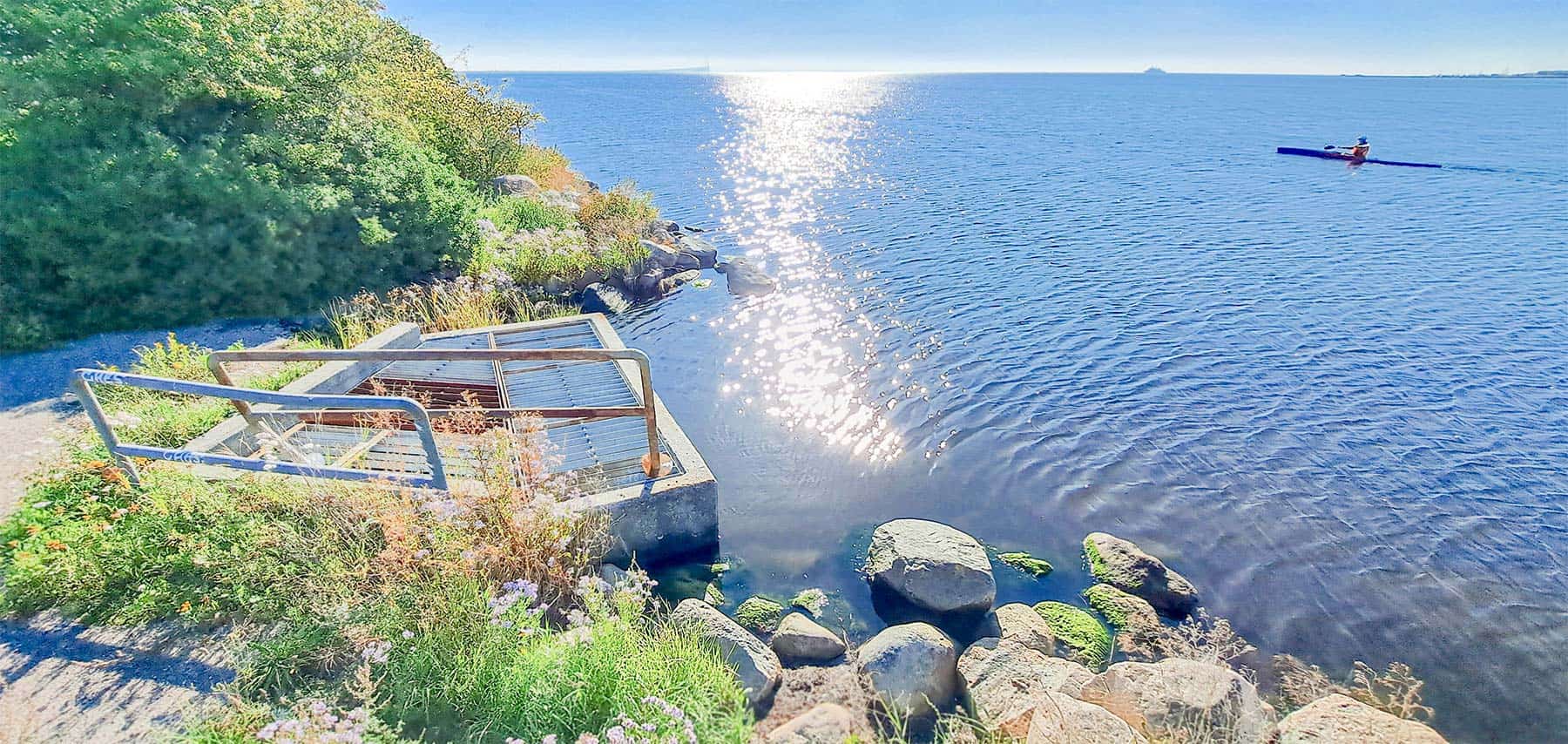 PFAS-sammenbrud løfter øjenbryn i byrådet