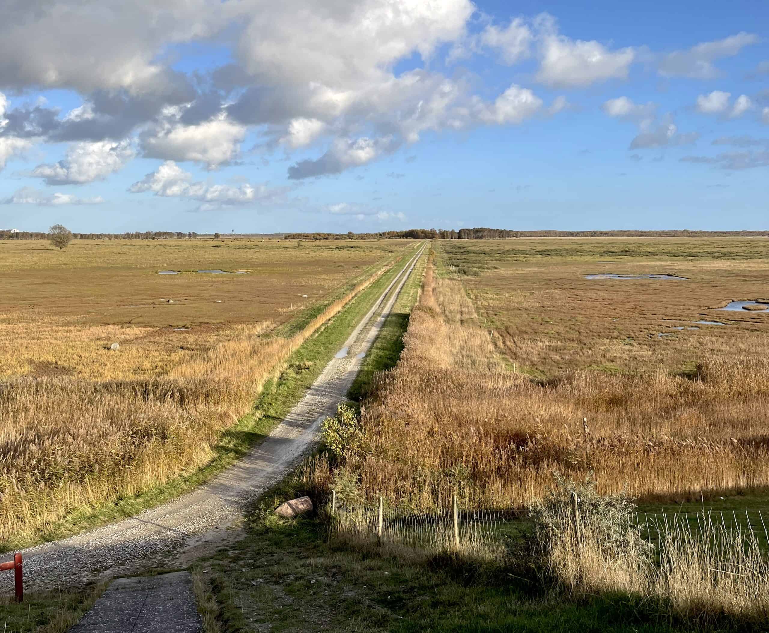 Familiesheltere og kulturhistorie: Naturpark Amager klar med ny plan for fremtiden