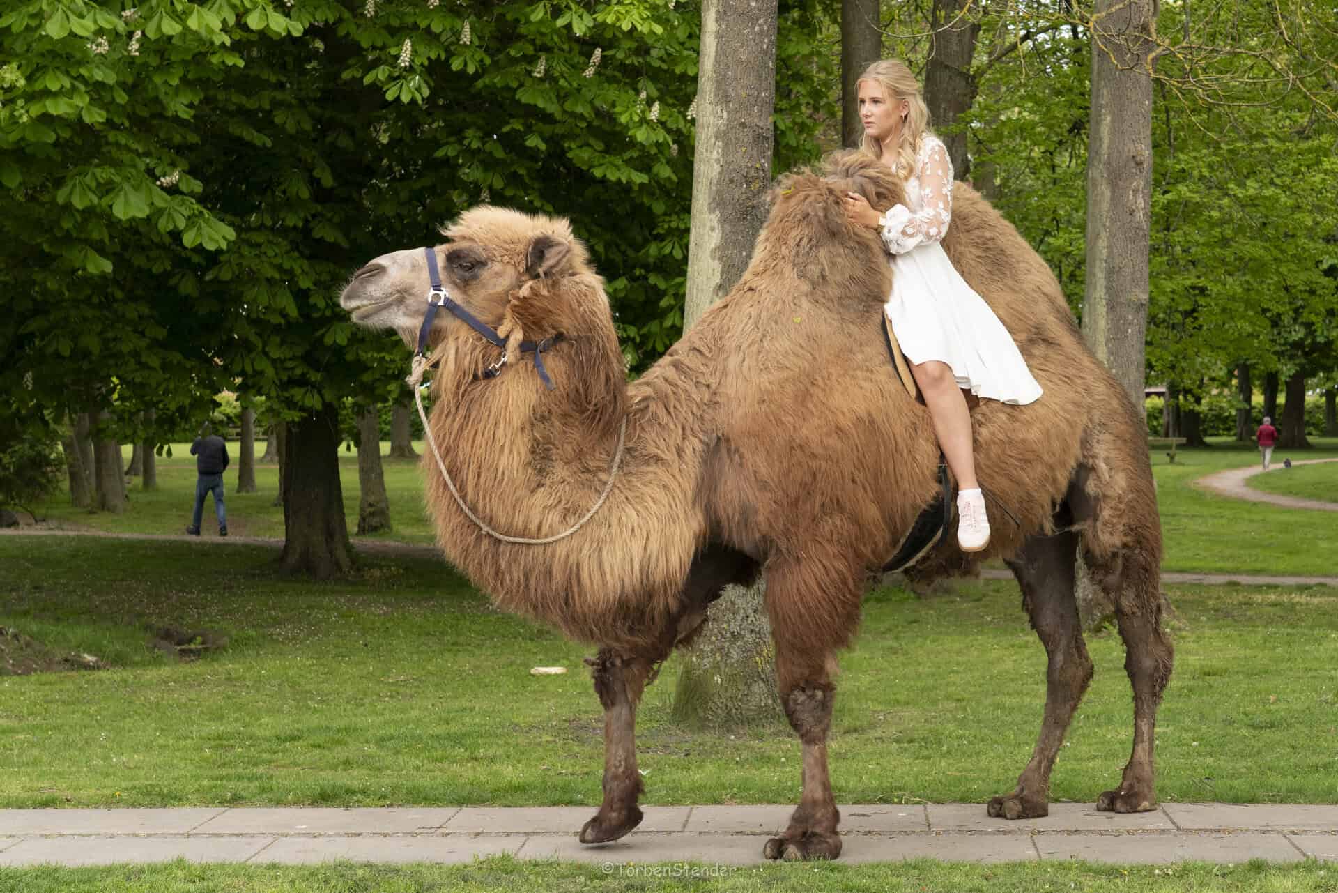 Kamel var hemmelig gæst til Carolines konfirmation