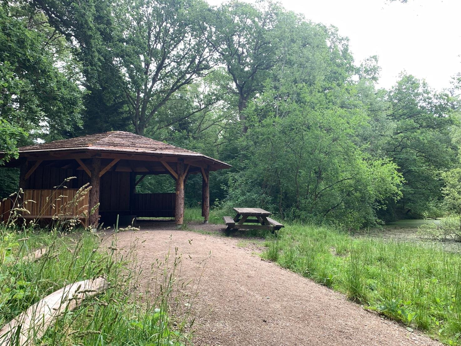 Naturtur i Kongelunden