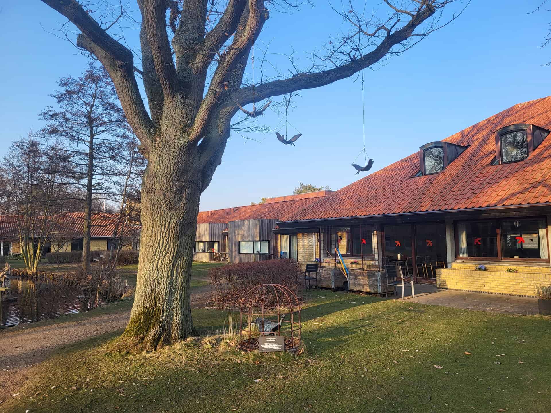 Ny løsning på Enggårdens lederkrise er »det muliges kunst«, siger udvalgsformand