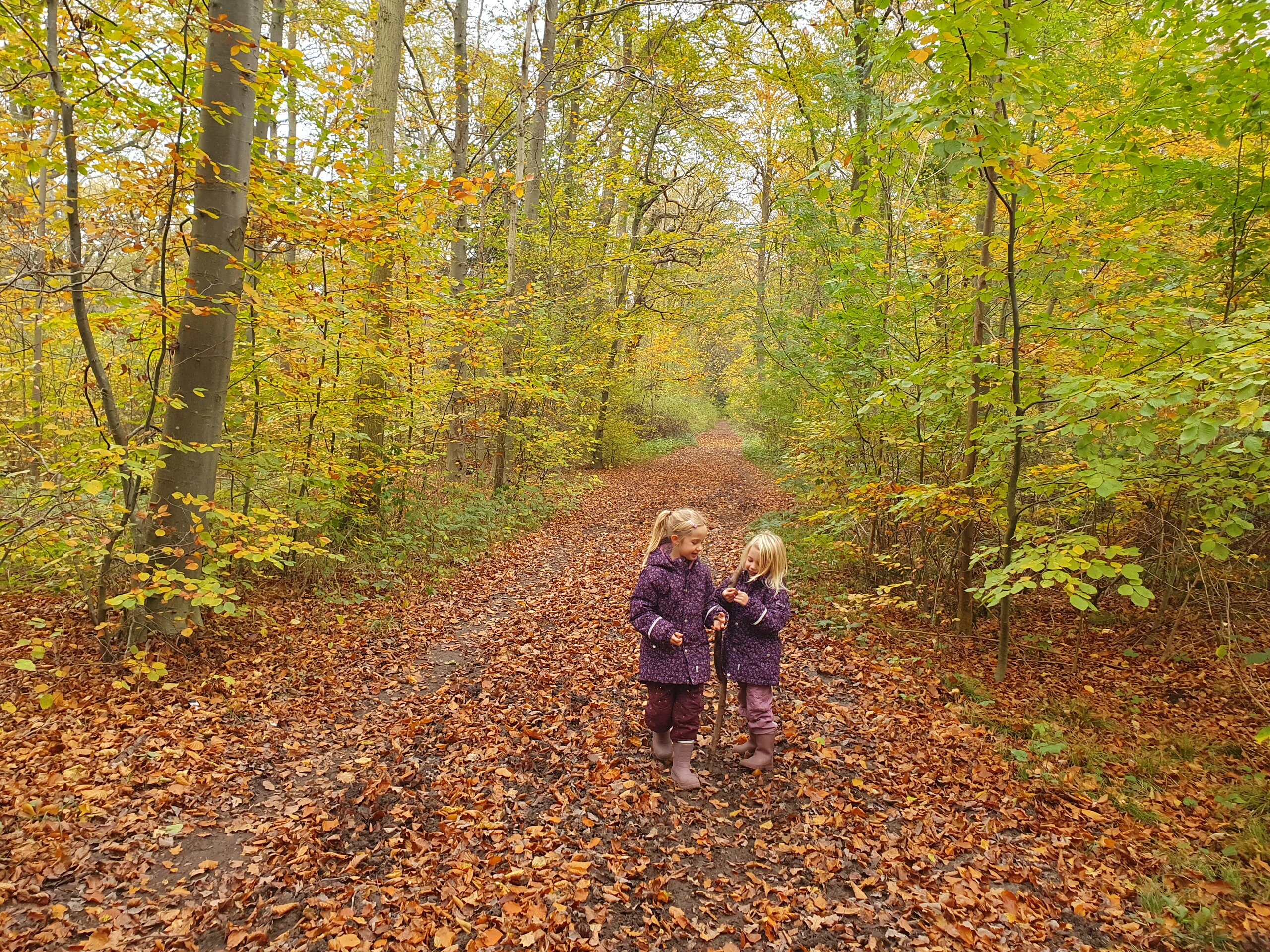 Sådan nyder du naturen i november