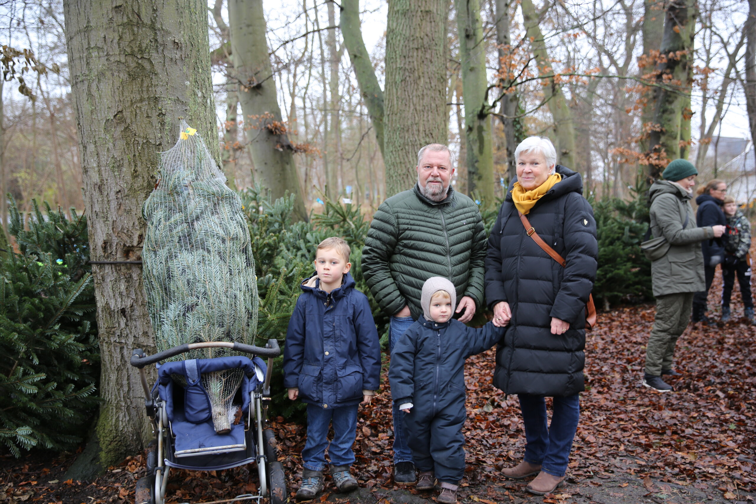 Juletræssalg hos Blushøjspejderne