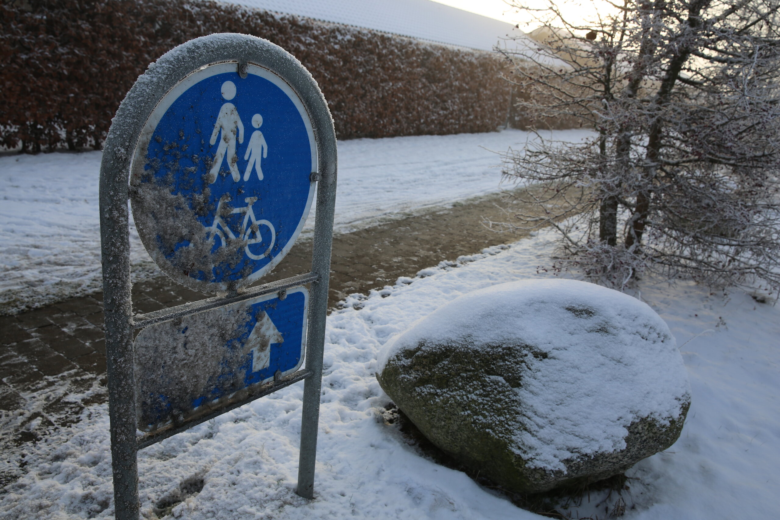 Hvem rydder sne i grundejerforeningen?
