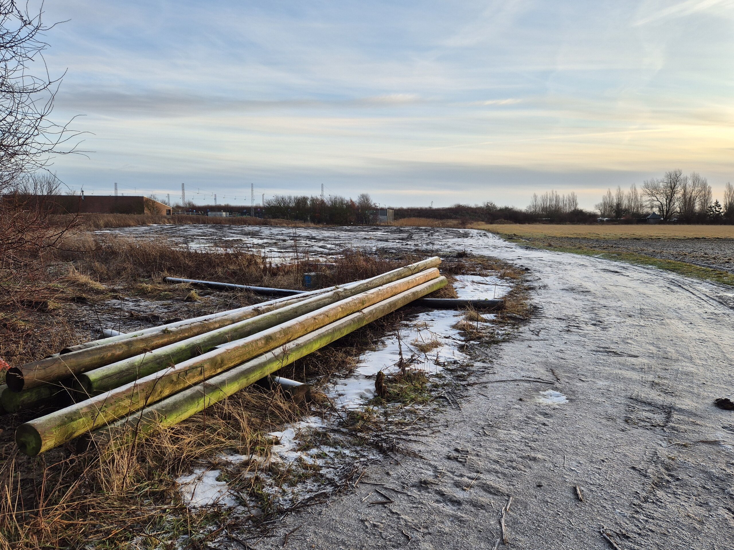 Nu er vejen banet for Dragørs nye skove