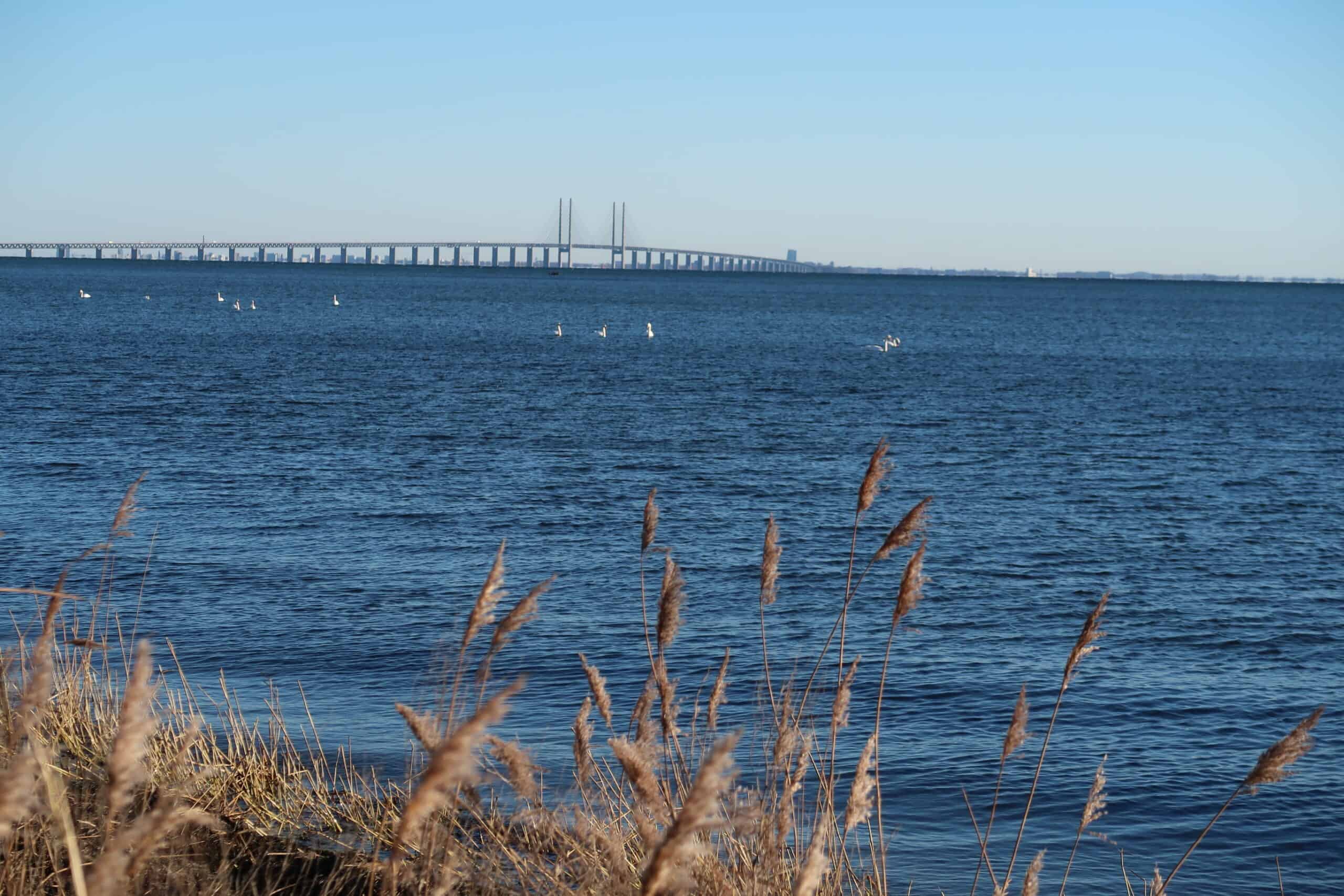 Øresundsbron satte flere rekorder i 2025