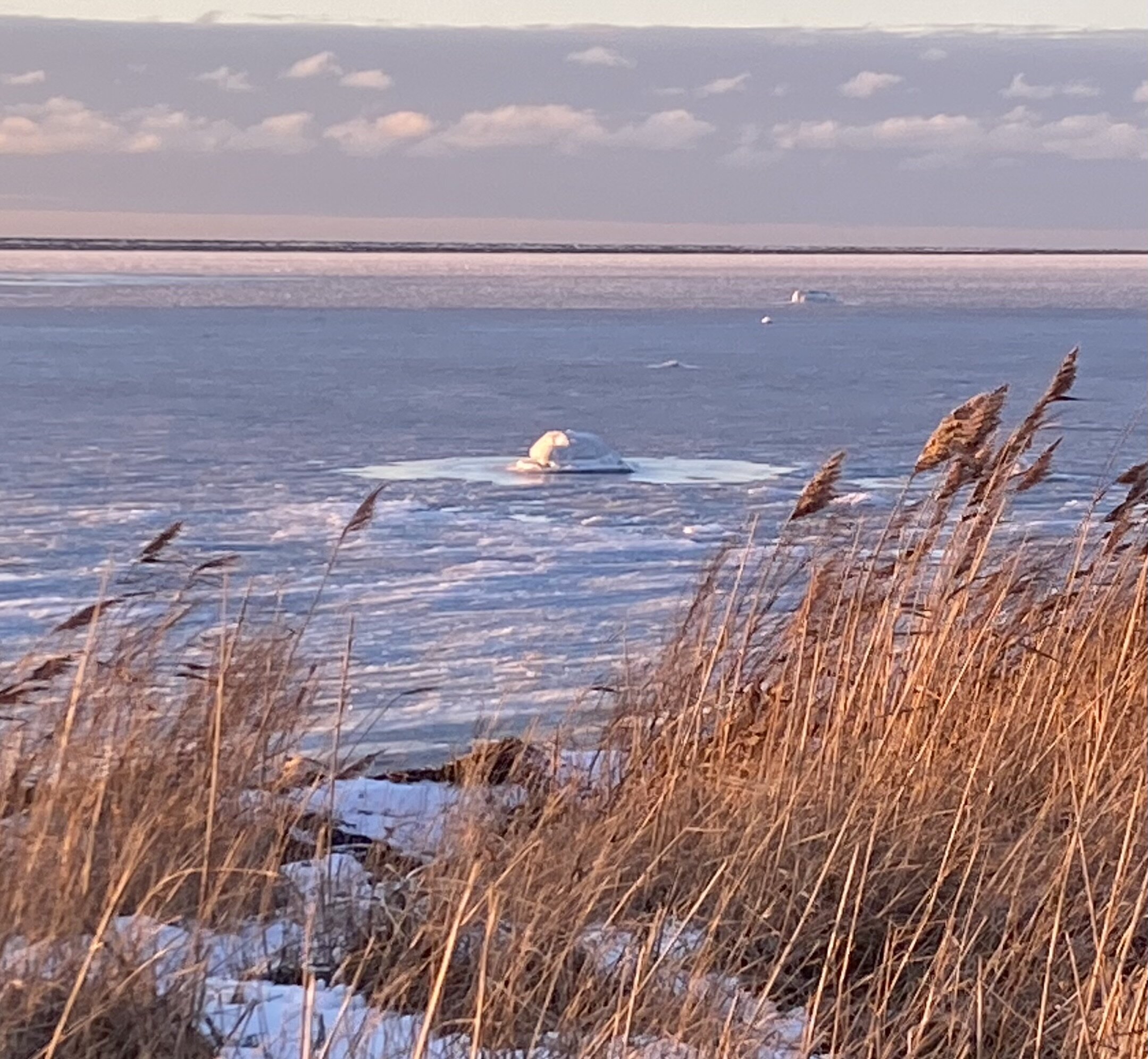 Kulde, lys og hverdagsglimt fra Dragør