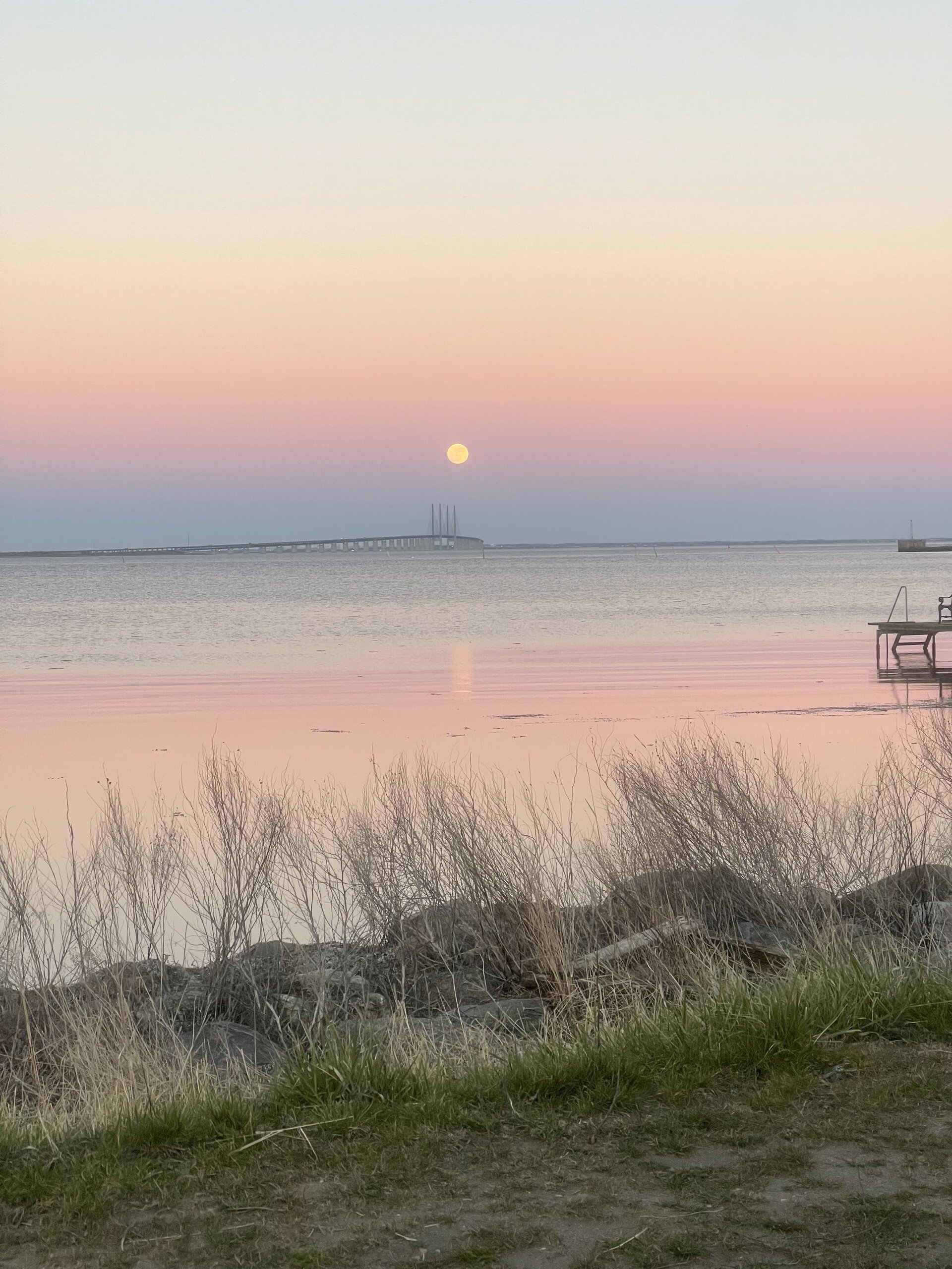 Forår på Nordstranden